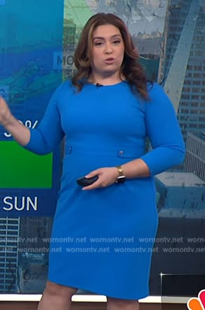 Violeta Yas’s blue sheath dress on NBC News Daily
