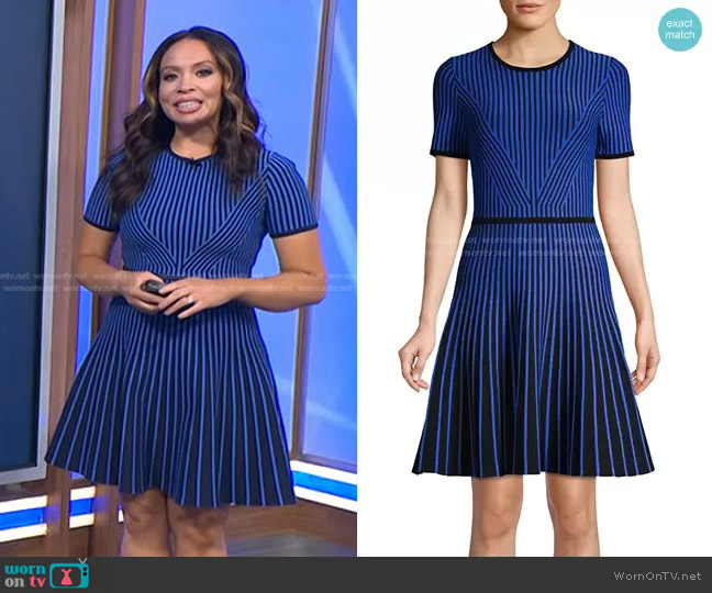 Shoshanna Drava Stripe Cocktail Dress worn by Adelle Caballero on Today