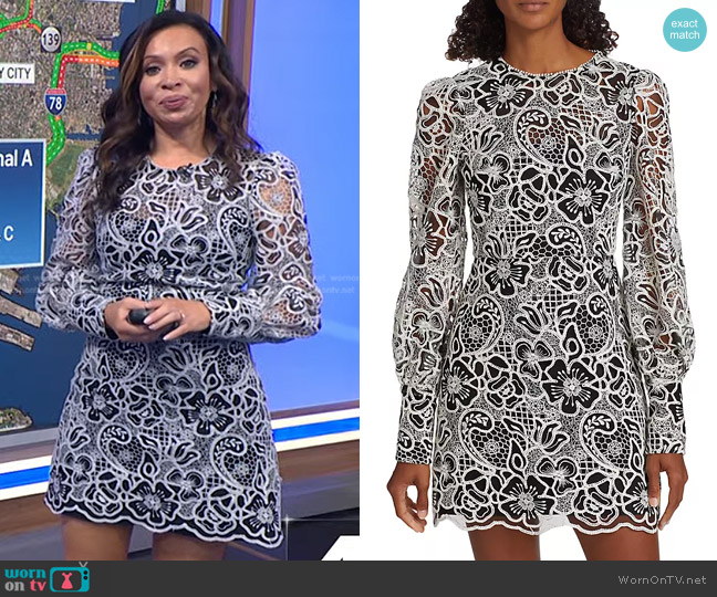 ML Monique Lhuillier Embroidered Floral Long Sleeve Mini Dress worn by Adelle Caballero on Today