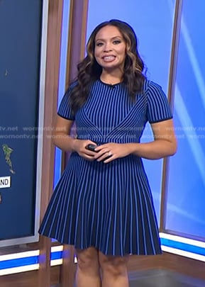 Adelle’s blue striped dress on Today
