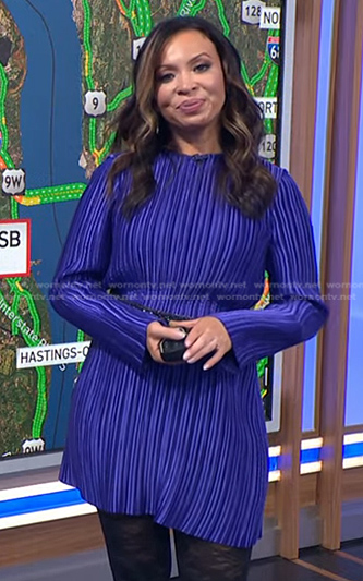 Adelle’s purple pleated mini dress on Today