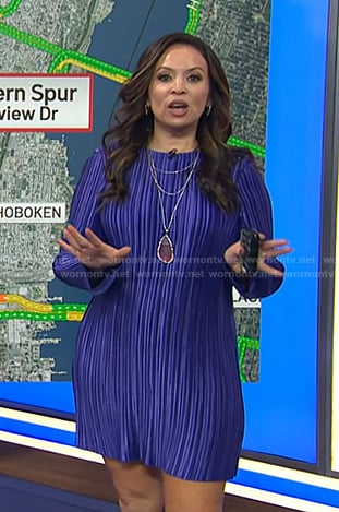 Adelle’s purple pleated mini dress on Today