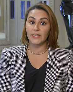 Ali Vitali’s houndstooth print blazer on NBC News Daily
