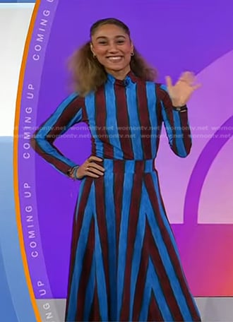 Ally’s blue and brown striped top and skirt on Today