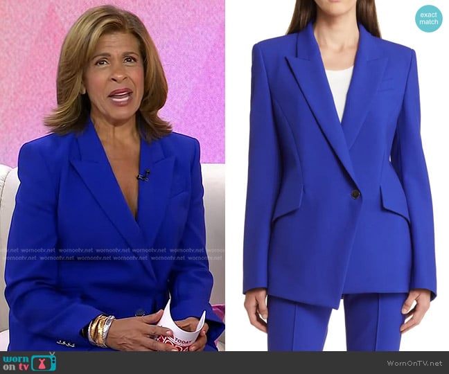 Boss Jarinah Blazer in Open Blue worn by Hoda Kotb on Today