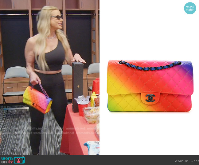 Chanel Calfskin Quilted Medium Rainbow Double Flap Multicolor worn by Alexia Echevarria (Alexia Echevarria) on The Real Housewives of Miami
