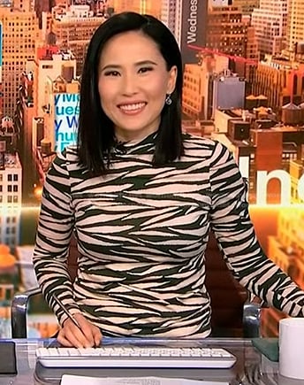 Vicky’s animal print mock neck top on NBC News Daily