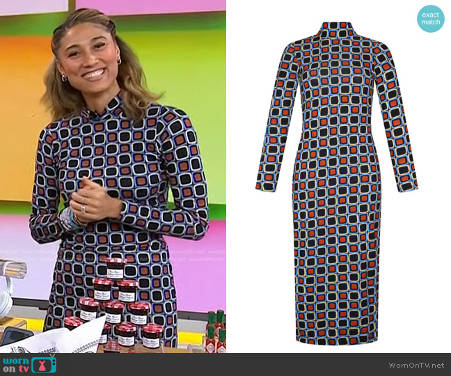 De Loreta Anis Dress in Mosaico Print worn by Ally Love on Today