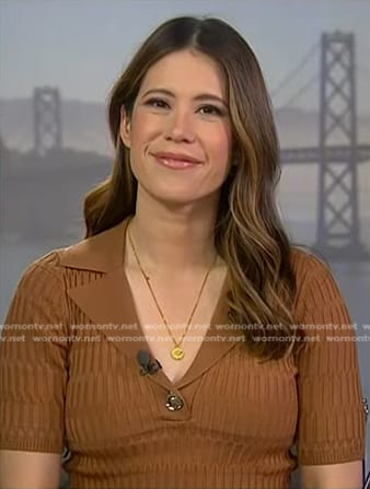 Deirdre Bosa’s brown ribbed top on NBC News Daily