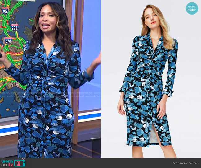 Diane von Furstenberg Sheska Dress in Passion Petals Star Sapphire worn by Adelle Caballero on Today
