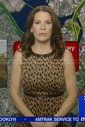 Heather’s beige leopard sleeveless dress on Good Morning America