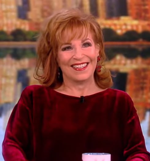 Joy’s burgundy velvet top on The View