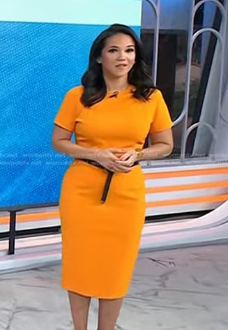 Laura’s orange short sleeve sheath dress on Today