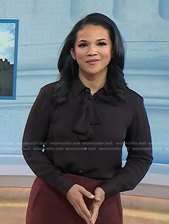 Laura’s brown tie neck blouse on Today