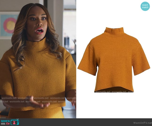 Proenza Schouler Turtleneck Top worn by Rachel Audubon (Michelle Bathe) on All Rise