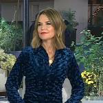 Savanah’s blue velvet shirt on Today