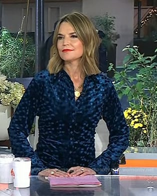 Savanah’s blue velvet shirt on Today