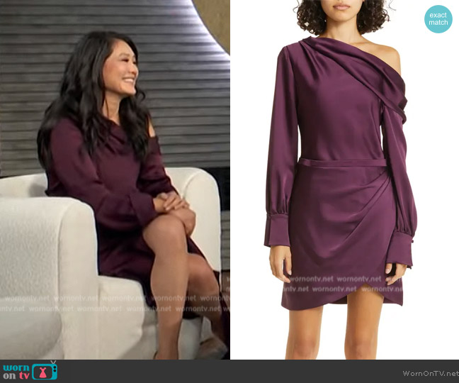 Simkhai Cameron Long Sleeve One-Shoulder Minidress worn by Crystal Kung Minkoff on E! News