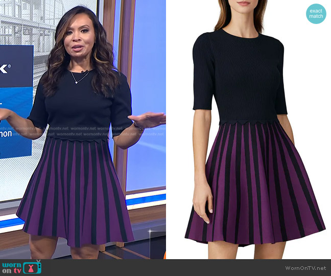Ted Baker Knitted Skater Dress worn by Adelle Caballero on Today