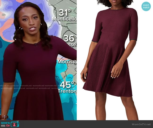 Ted Baker Renyina Dress worn by Brittany Bell on Good Morning America