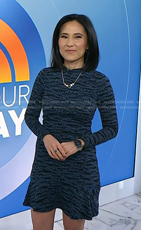Vicky’s blue animal print dress on Today