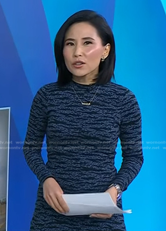 Vicky’s blue animal print dress on Today