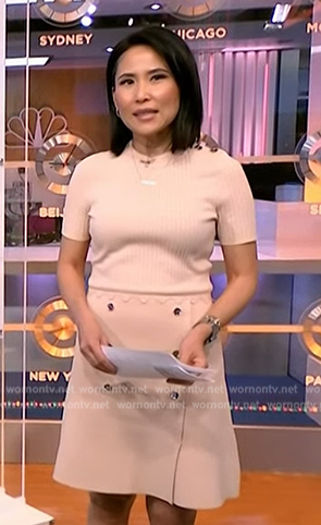 Vicky’s pink button front dress on NBC News Daily