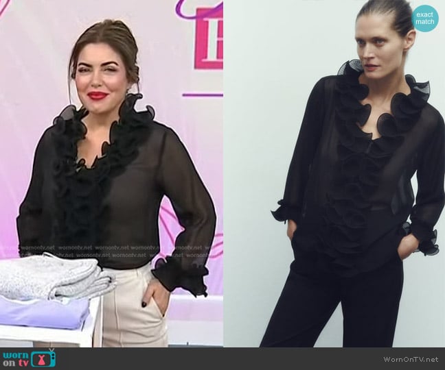 Zara Pleated Ruffle Semi Sheer Blouse worn by Bobbie Thomas on Today