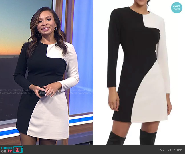 Donna Morgan Colorblock Long Sleeve Sheath Dress worn by Adelle Caballero on Today