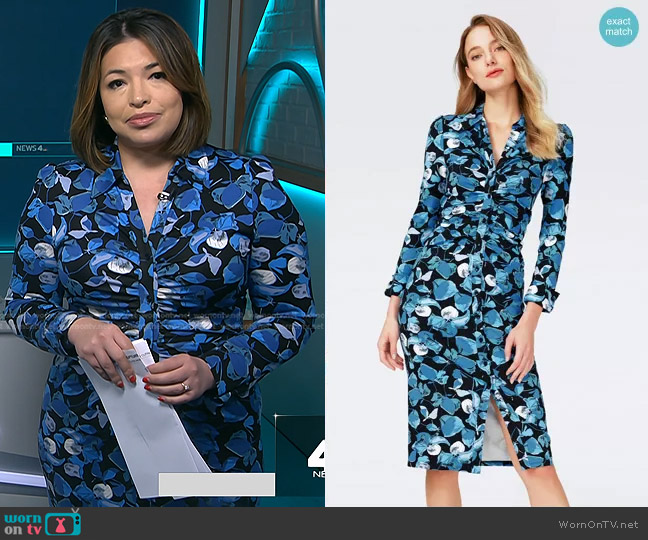 Diane von Furstenberg Sheska Dress in Passion Petals Star Sapphire worn by Gilma Avalos on NBC News Daily