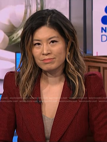Angela Cenedella’s red herringbone blazer on NBC News Daily
