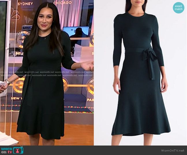 Eliza J Fit & Flare Sweater Dress worn by Morgan Radford on NBC News Daily
