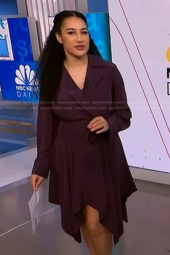 Morgan’s purple handkerchief hem dress on NBC News Daily