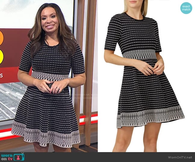 Shoshanna Mesa Dress worn by Adelle Caballero on Today