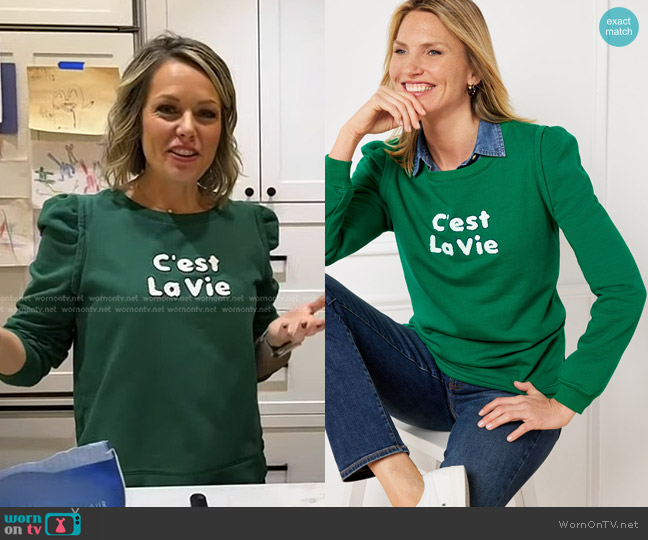 Talbots C'est La Vie Pleated Shoulder Pullover worn by Dylan Dreyer on Today
