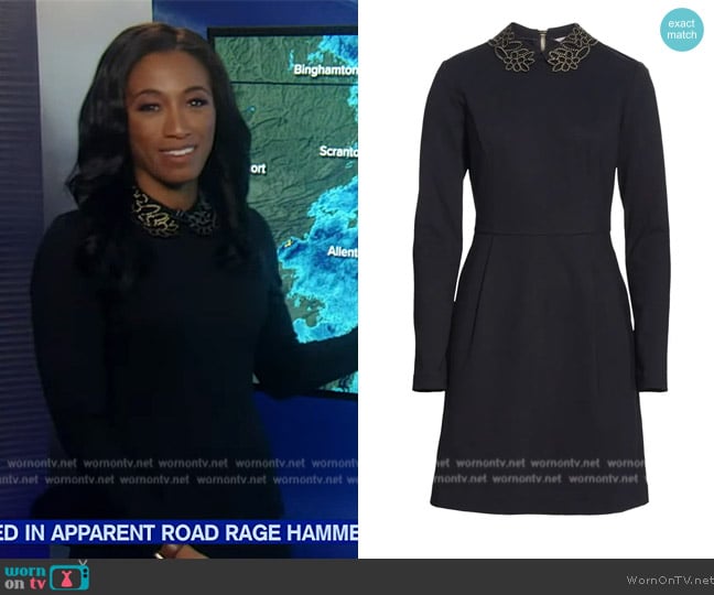 Ted Baker Calliea Appliqué Long Sleeve Skater Dress worn by Brittany Bell on Good Morning America