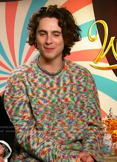 Timothee Chalamet’s multicolored sweater on Access Hollywood