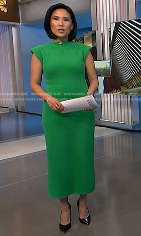 Vicky’s green fuzzy dress on NBC News Daily