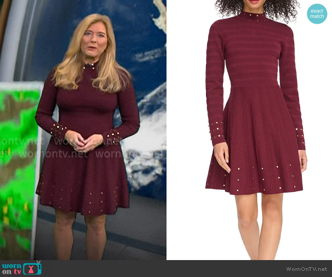 Vince Camuto Long Sleeve Mock Neck Studded Fit And Flare Dress worn by Kelly Cass on CBS Mornings
