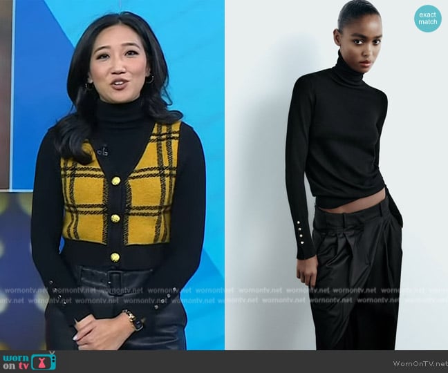 Zara Basic Turtleneck Knit Sweater worn by Kathy Park on Today