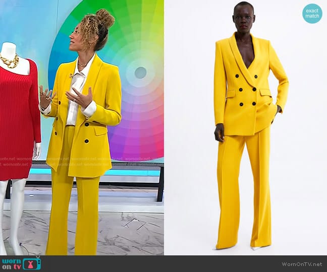 Zara Double Breasted Buttoned Blazer worn by Ally Love on Today