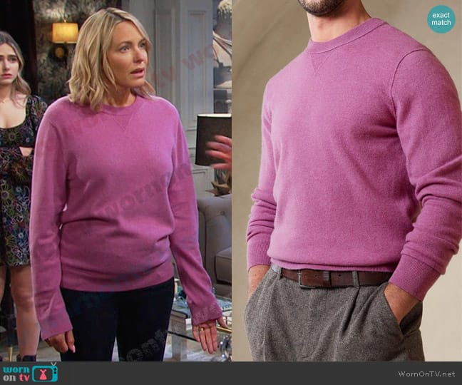 Banana Republic Sarno Cashmere Crew-Neck Sweater worn by Nicole Walker (Arianne Zucker) on Days of our Lives