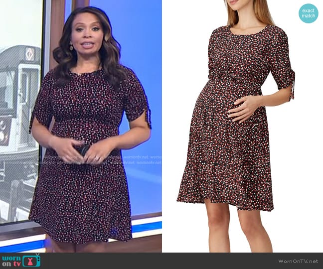 Seraphine Alinda Nursing Maternity Dress worn by Adelle Caballero on Today