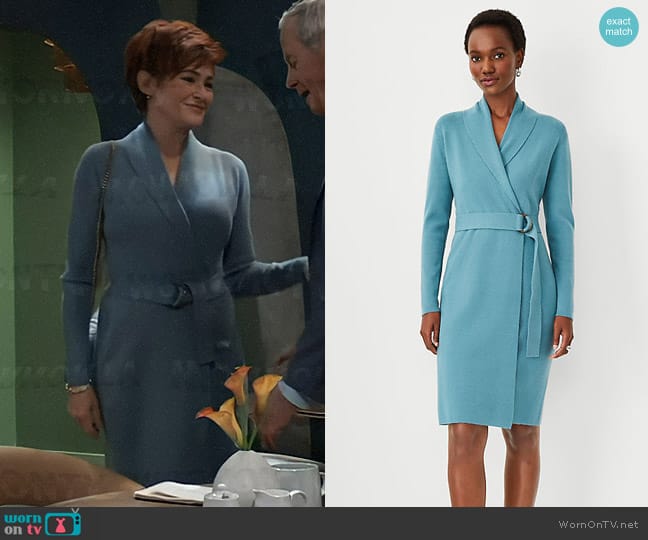 Ann Taylor Shawl Collar Belted Wrap Sweater Dress worn by Diane Miller (Carolyn Hennesy) on General Hospital