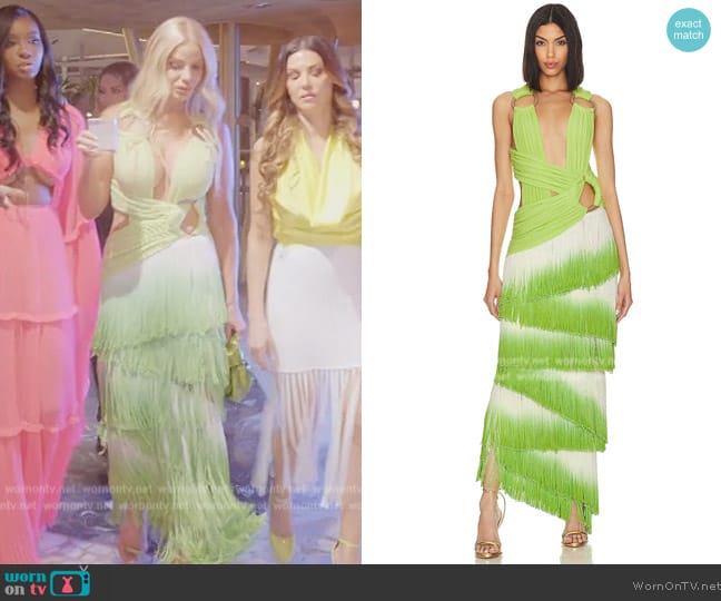 Bronx and Banco Cameroon Gown worn by Alexia Echevarria (Alexia Echevarria) on The Real Housewives of Miami