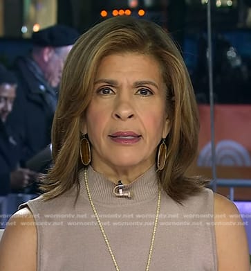 Hoda’s brown tigers eye drop earrings on Today