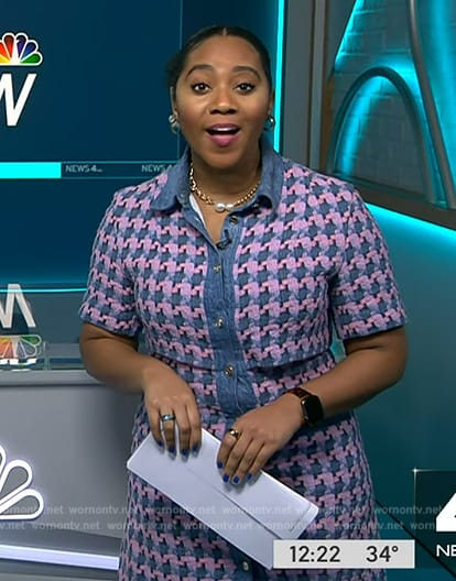 Kay’s pink and blue houdstooth tweed dress on NBC News Daily