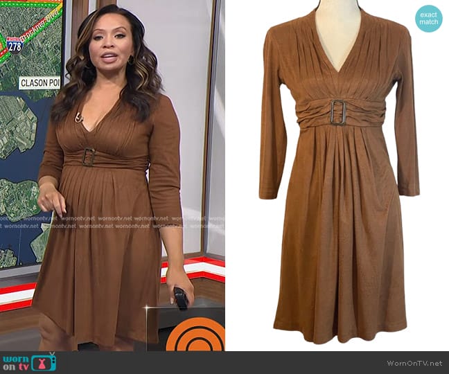 Madison Snake Skin Print V Neck Long Sleeve Dress worn by Adelle Caballero on Today