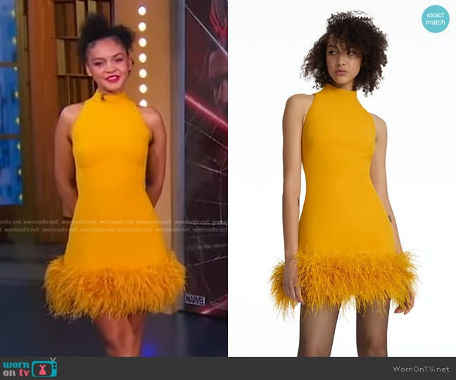 Safiyaa Ratana Ochre Feather-Trimmed Short Dress in Ochre worn by Celeste O'Connor on Good Morning America