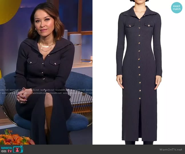 Sandro Zina Maxi Dress worn by Eva Pilgrim on Good Morning America
